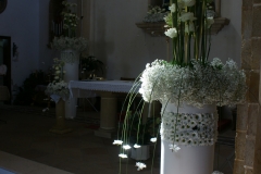 SONY DSC