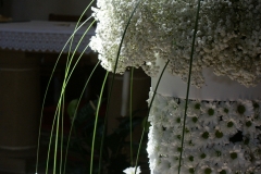 SONY DSC