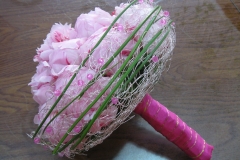Immagine 001l