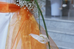 SONY DSC